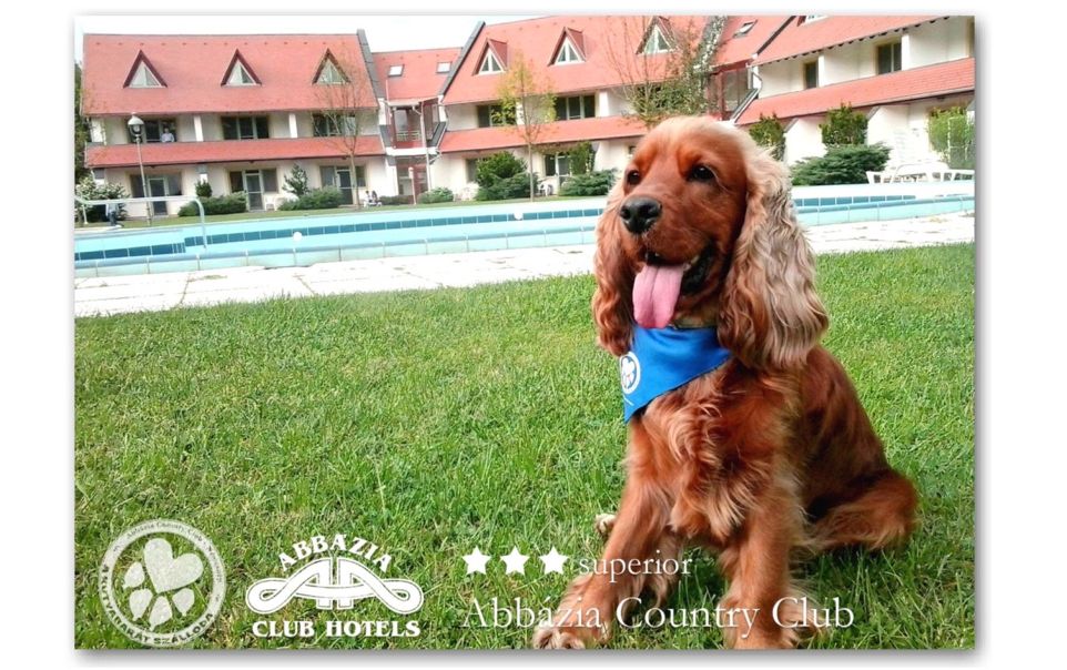 Lapmágnes A5 méret