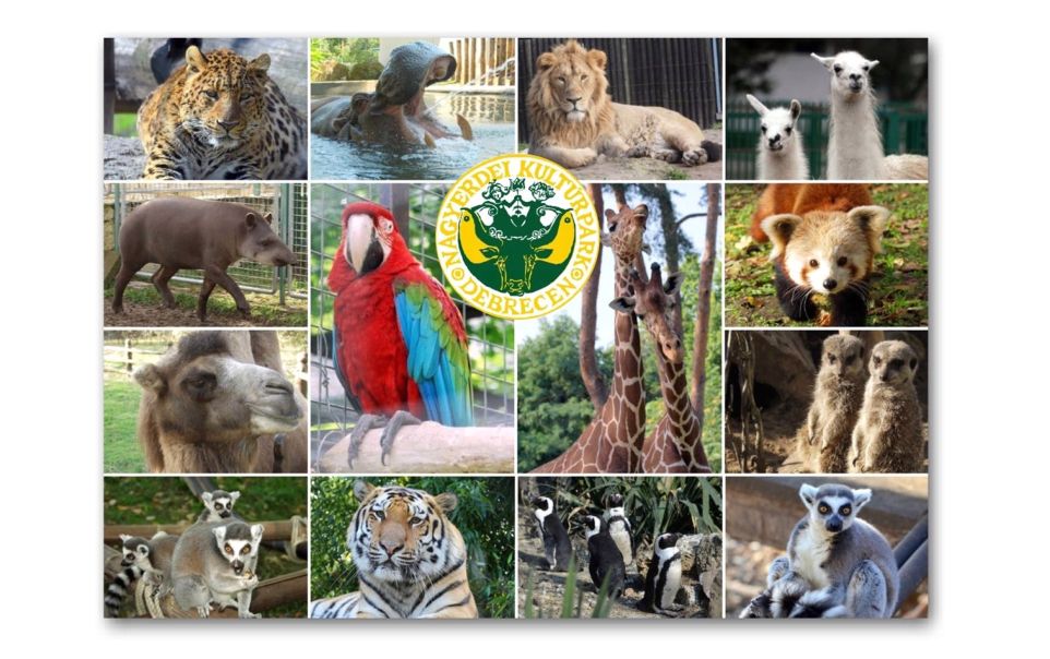 Lapmágnes A4 méret