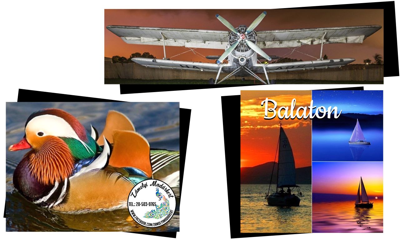 Lapmágnes egyedi méretben