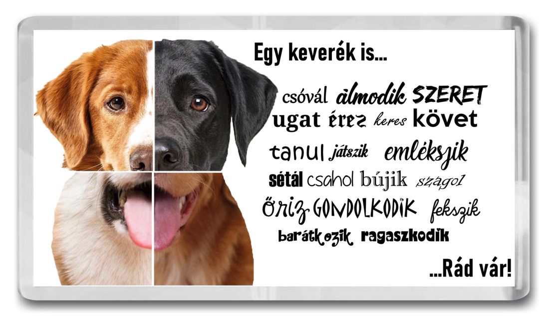 Műanyag panoráma mágnes