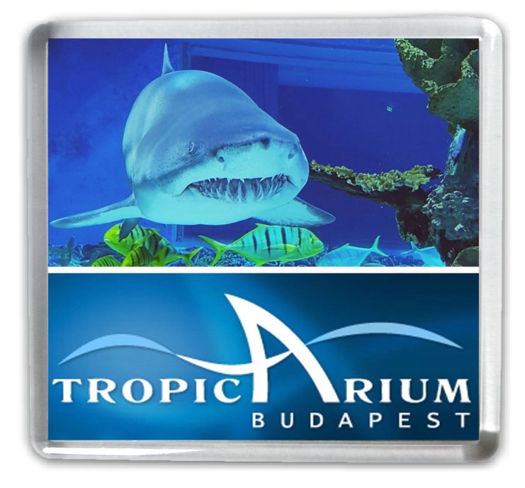 Műanyag négyzet hűtőmágnes