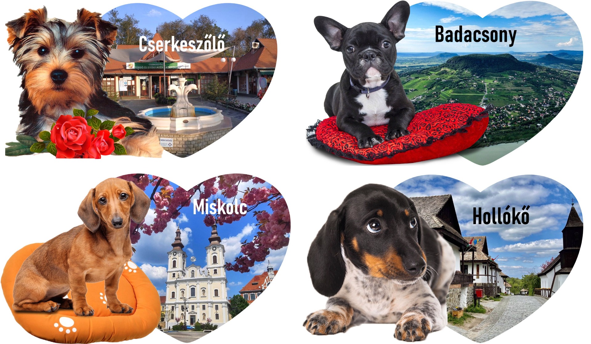 Szív forma állatos mágnes